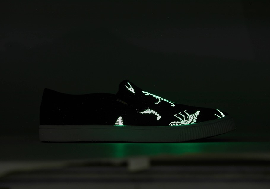 Toms Baja Slip On Dinosaur Dig Black Dino