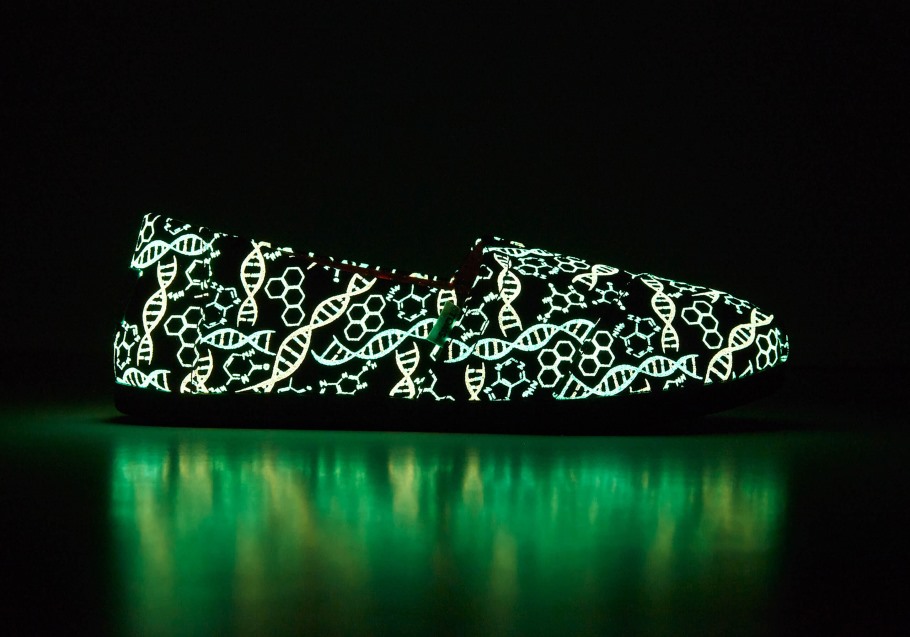 Toms Alpargata Dna Black